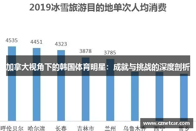 加拿大视角下的韩国体育明星：成就与挑战的深度剖析